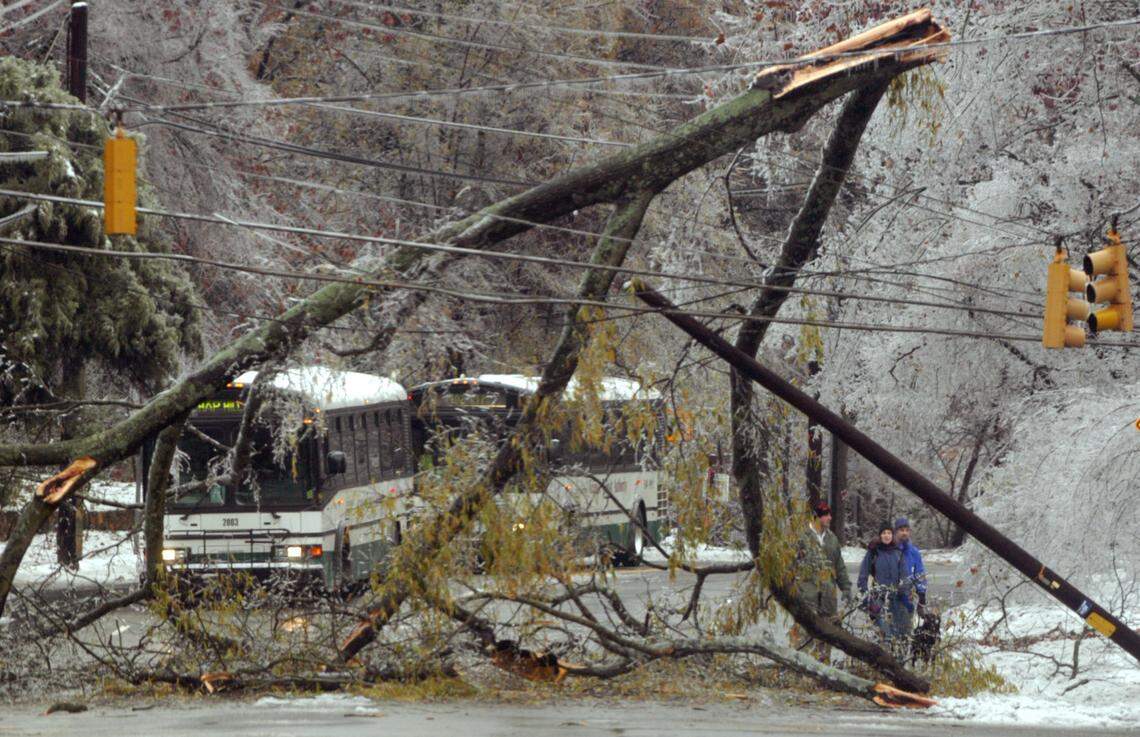 Half a tree felled by the weight of accumulated ice lies on East Franklin Street as the other half blocks off Boundary Street in Chapel Hill during a winter storm.