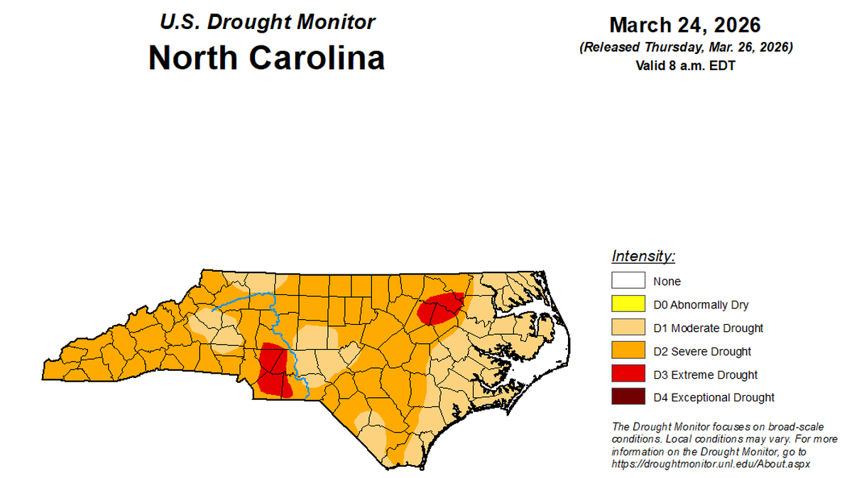 The North Carolina Forest Service has issued a ban on all opening burning, from 6 p.m. Saturday, March 28, until further notice, due to a high risk of wildfires from high winds and the continuing statewide drought.