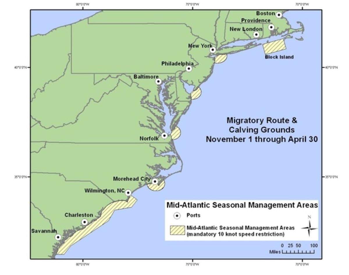 Between Nov. 1 and April 30, boaters operating vessels more than 65 feet long are not supposed to top 10 knots in areas around Morehead City and Wilmington. The restrictions are intended to protect the endangered North Atlantic right whale, of which there are only about 370 alive.