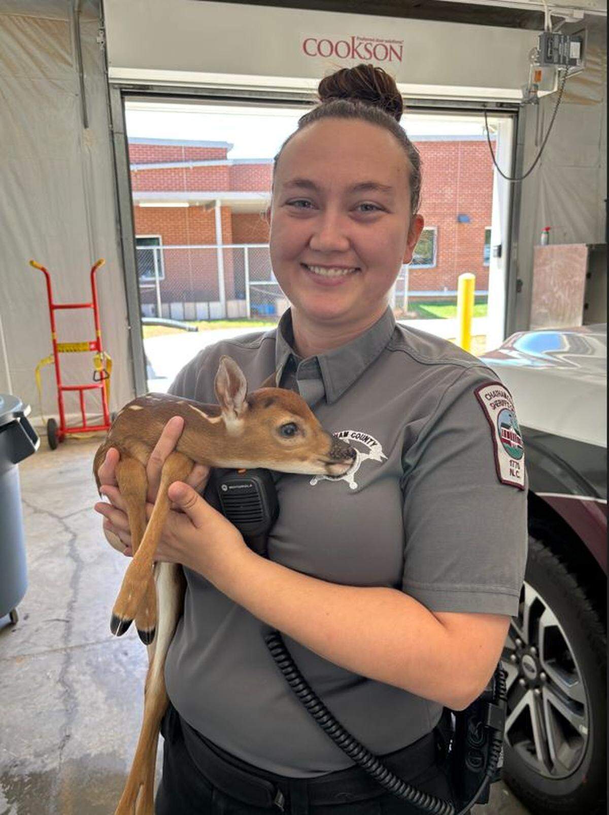 The Chatham County Sheriff’s Office placed this injured baby deer with a wildlife rehabilitation group in Sanford, NC.