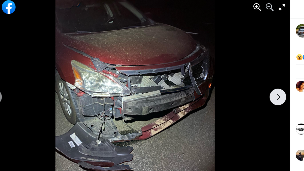 A driver collided with a black bear near Durham, North Carolina.