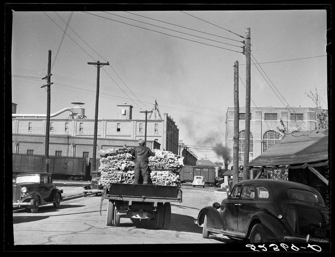 Tobacco is hauled from auction to cigarette factories in downtown Durham, N.C. in 1939.