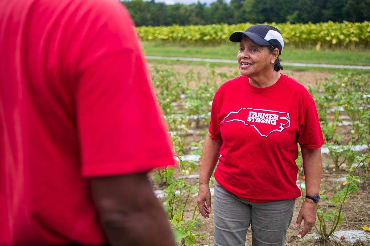 Linda Savage talks with her husband Tom Savage on Thursday, September 8, 2022 at Allied Organic Farms in Hurdle Mills, N.C. The farm produces an array of vegetables including many leafy greens like Kale and Mustard greens, ethnic vegetables like Waterleaf and African eggplant. They also participate in agri-tourism, opening their farm to the public for events