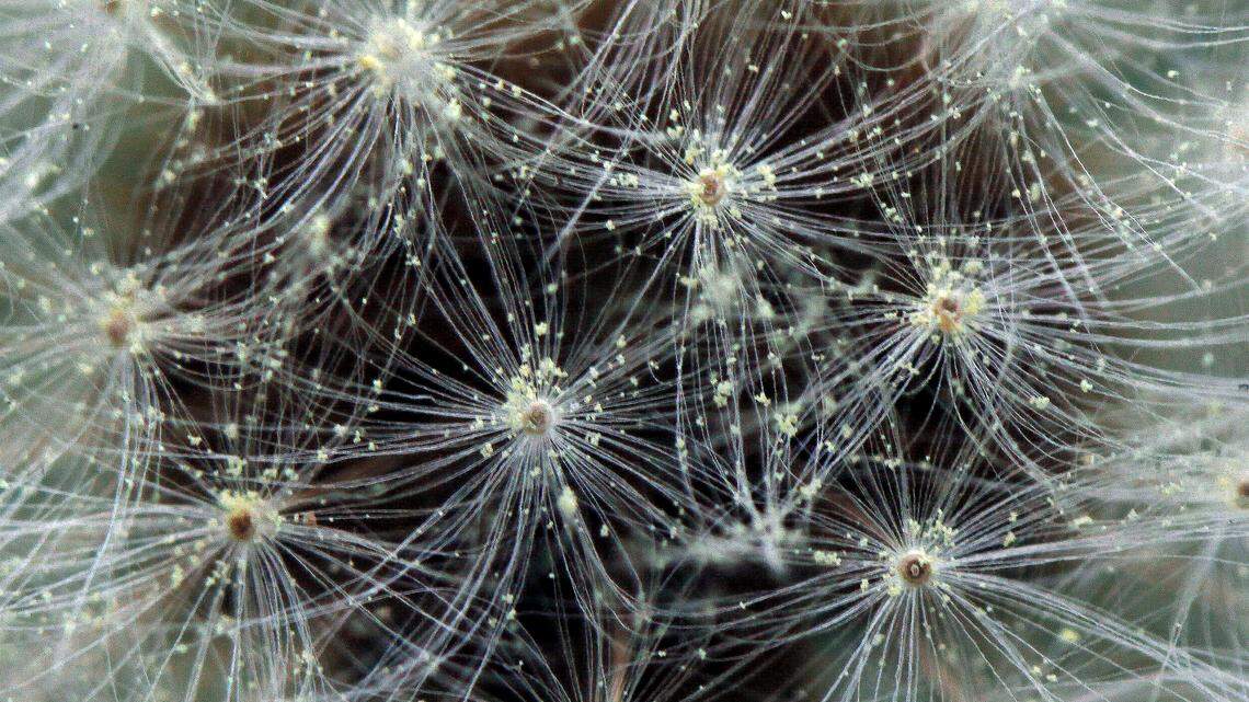 Triangle weather: Hurricanes, ice storms and the heat-to-AC-back-to-heat whiplash