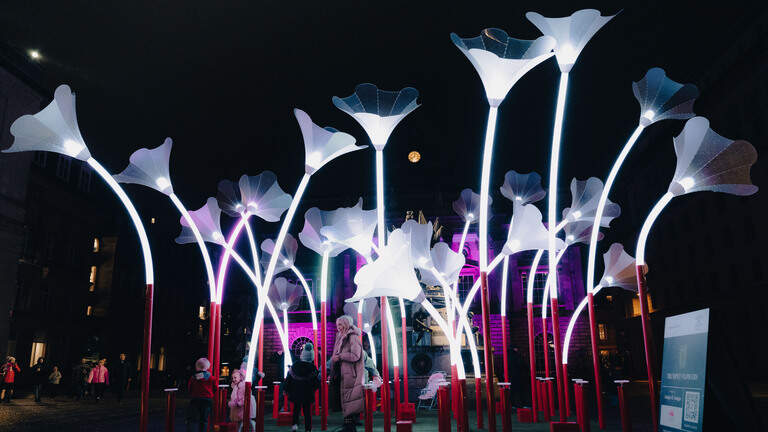 New artwork lights up downtown Raleigh with limited-time installation