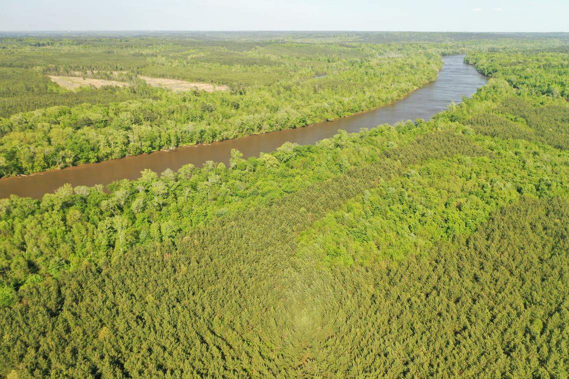 The Triangle Land Conservancy bought 665 acres of forest and wetlands along the Cape Fear River in Lee County in 2023. Protections have narrowed for North Carolina wetlands not directly connected to federally protected waterways.