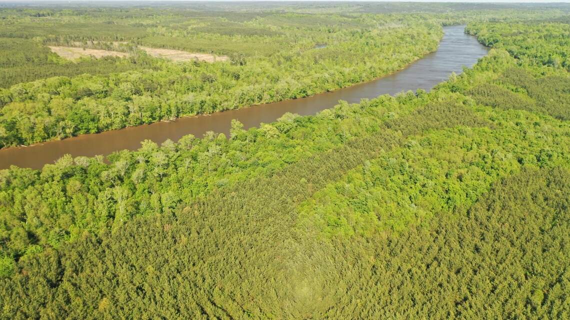 Triangle Land Conservancy buys Cape Fear River land in Lee Co ...