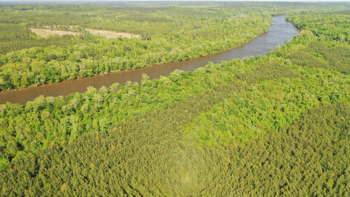 The Triangle Land Conservancy bought 665 acres of forest and wetlands along the Cape Fear River near the N.C. 42 bridge in Lee County. Part of the land is in the foreground, with the river and Chatham County in the distance. The 2023 Farm Act could strip environmental protections from half of the state’s wetlands.