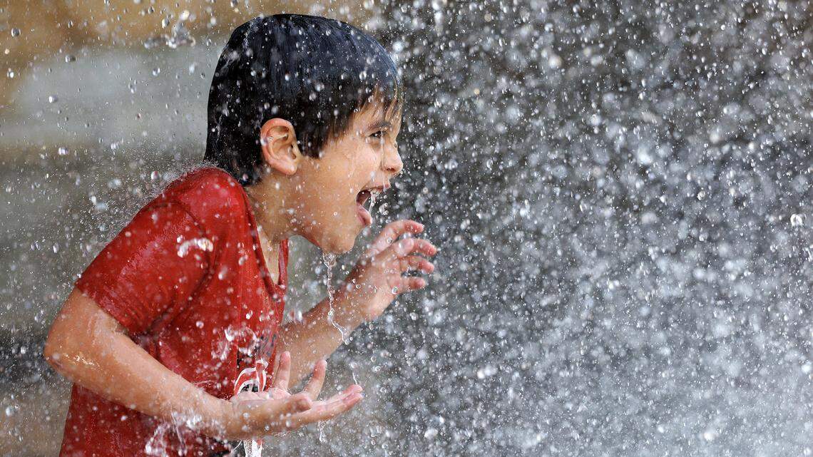 This week’s best photos from News & Observer photojournalists