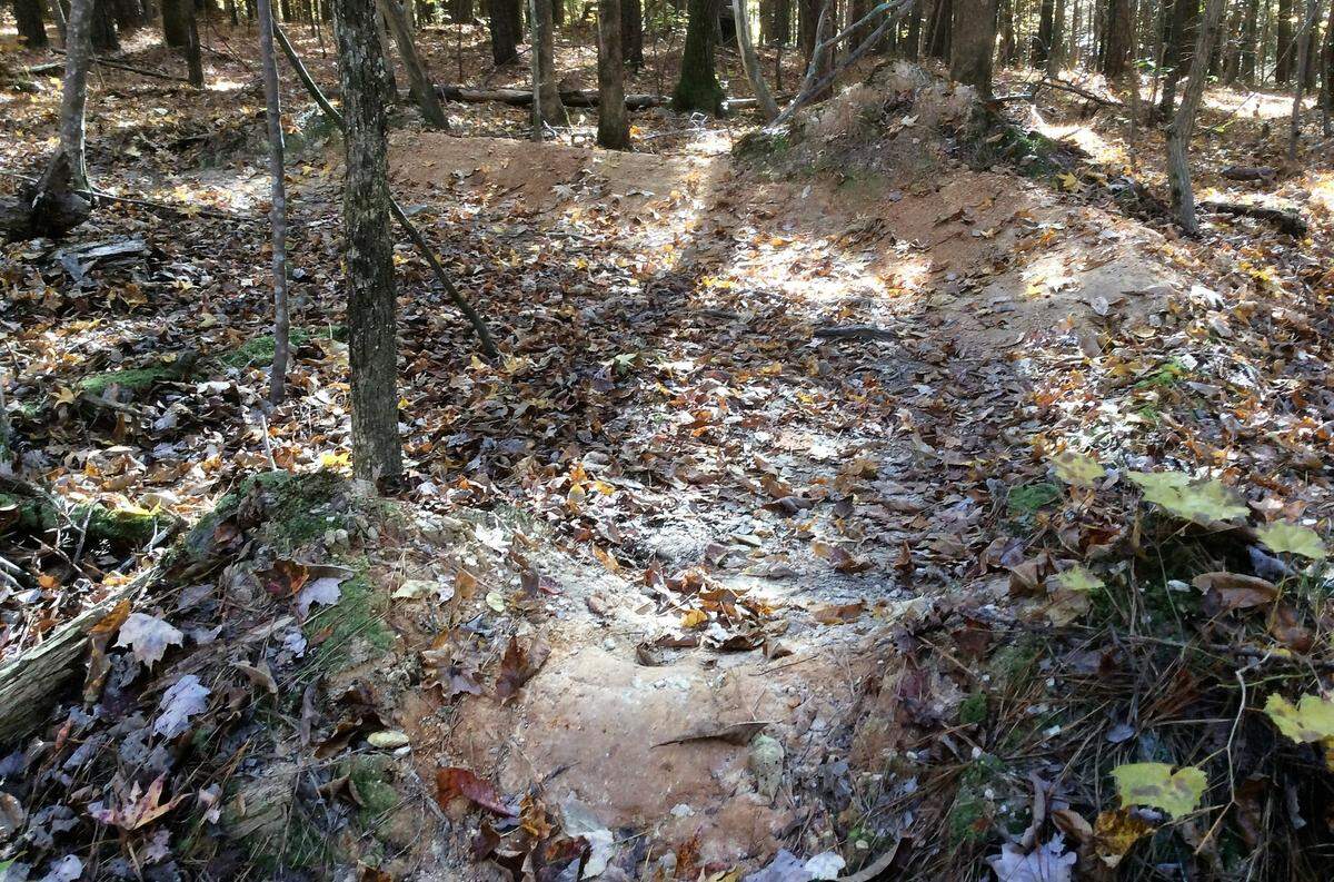 Mountain bikers have carved trails, setting up jumps and ramps like this quarter-turn made of dirt in the Greene Tract forest in Chapel Hill.