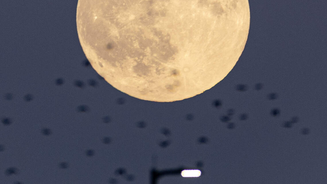 Why November’s full moon will be the brightest of the year & when it peaks over KY