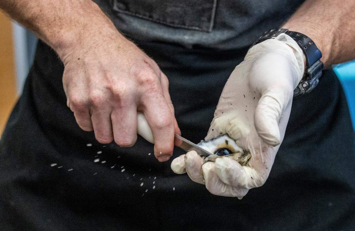 Jay Gallet, the nation’s fastest oyster-shucker, competes during NC Oyster Summit, Tuesday, May 9, 2023 at Marbles Kids Museum in Raleigh.