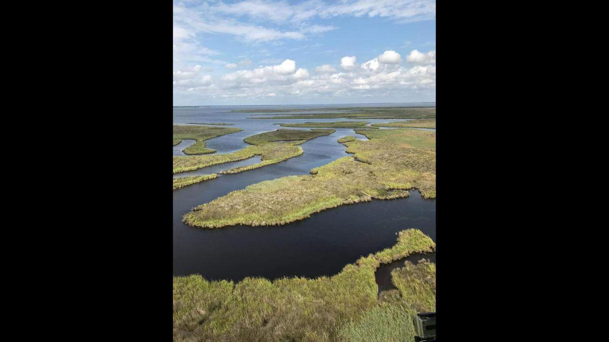 “The horses have about 7,500 acres of land to roam and ... it is quite vast once you get away from the oceanfront,” according to Corolla Wild Horse Fund Herd Manager Meg Puckett.