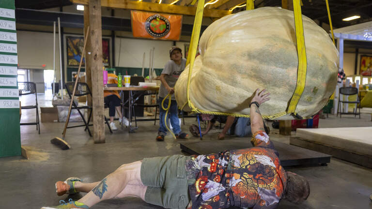 Massive pumpkin sets new record at the NC State Fair. Here’s how much it weighs