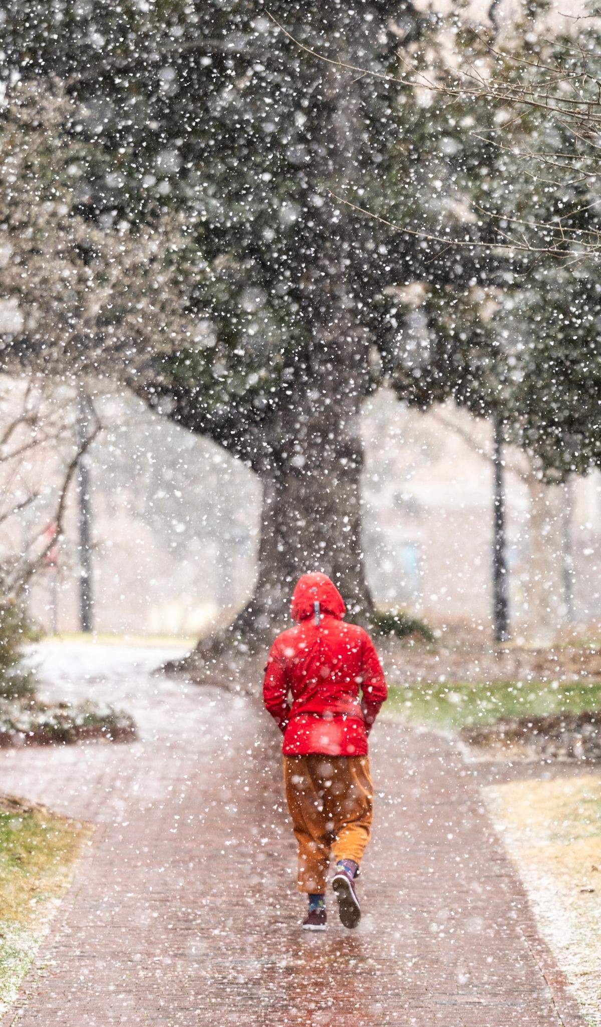 A pedestrian braves the freezing temperature as snow begins to fall at UNC-Chapel Hill on Wednesday, Feb. 19, 2024.