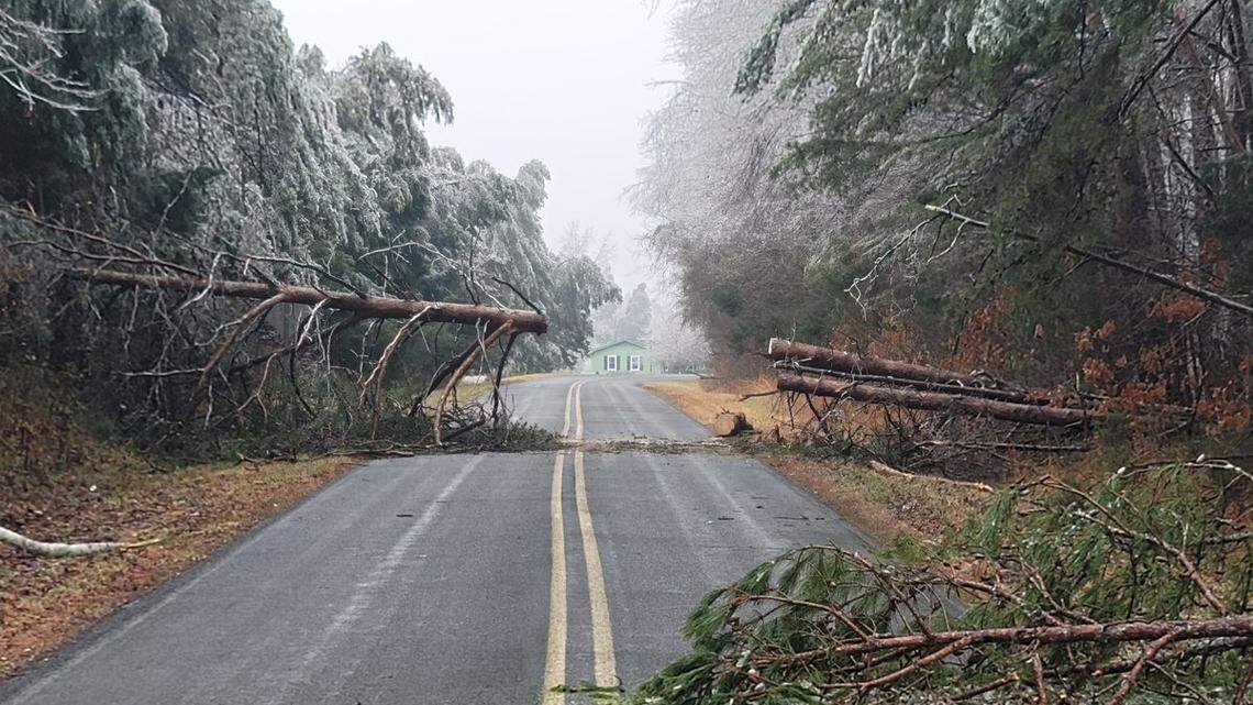 Trees are down in North Carolina because of ice, the state Department of Transportation says.