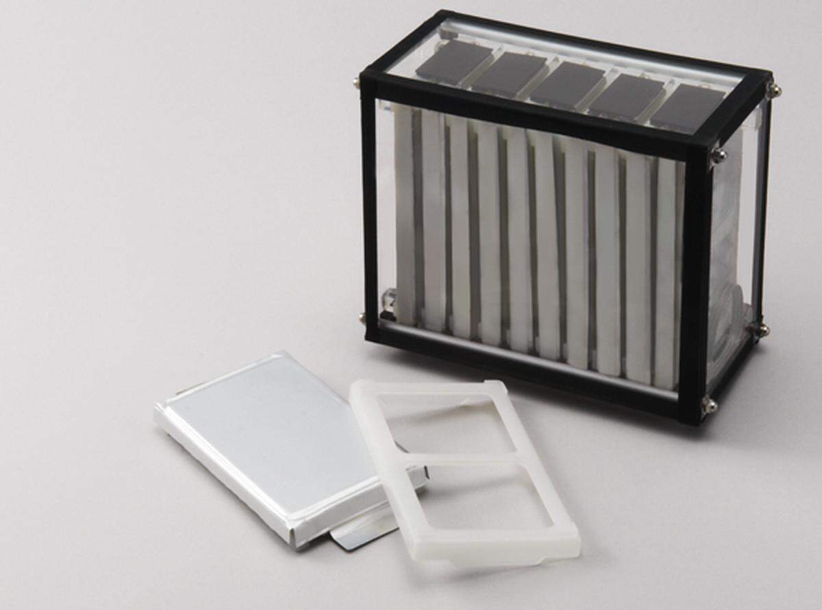 Dai Nippon Printing Co. plans to build a plant in Davidson County, North Carolina, that will produce lithium-ion battery pouches.