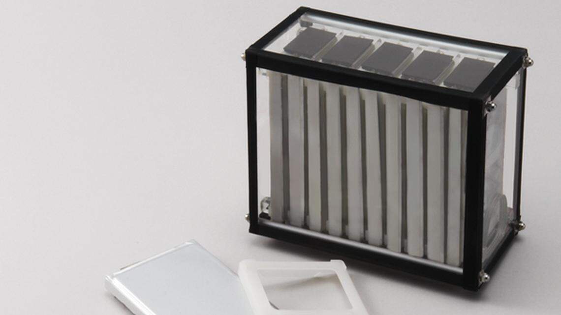 Dai Nippon Printing Co. plans to build a plant in Davidson County, North Carolina, that will produce lithium-ion battery pouches.