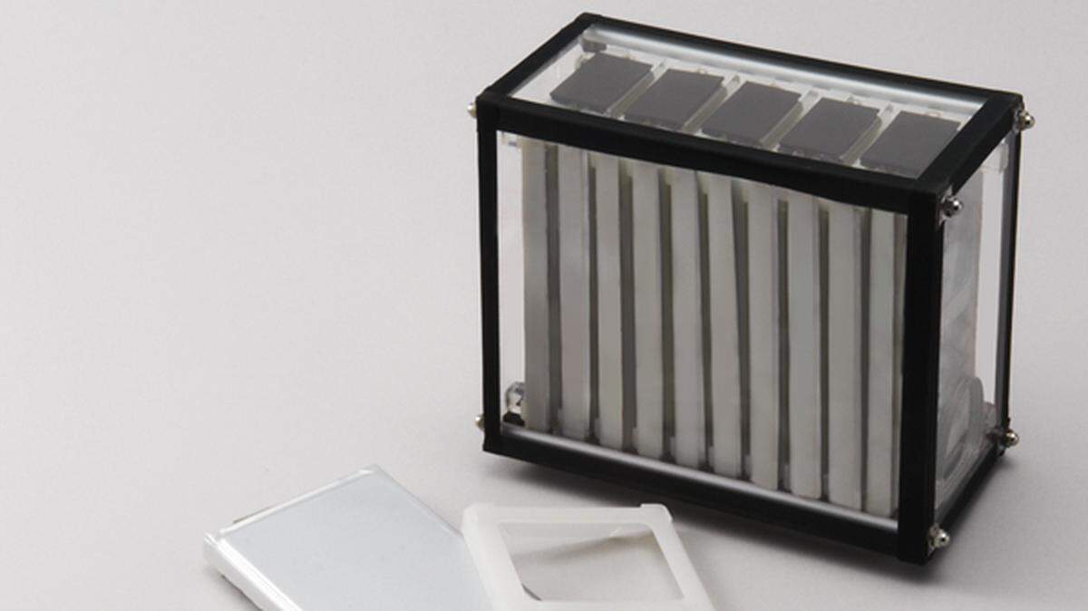 Dai Nippon Printing Co. plans to build a plant in Davidson County, North Carolina, that will produce lithium-ion battery pouches.