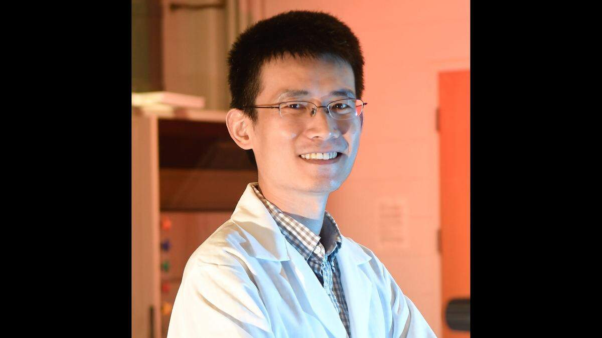 Zijie Yan was an associate professor in Applied Physical Sciences.