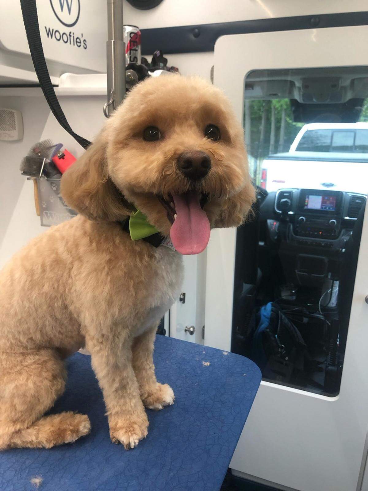 Woofie’s of Northwest Raleigh, a new franchise owned by a Durham resident, offers mobile pet grooming and pet sitting.