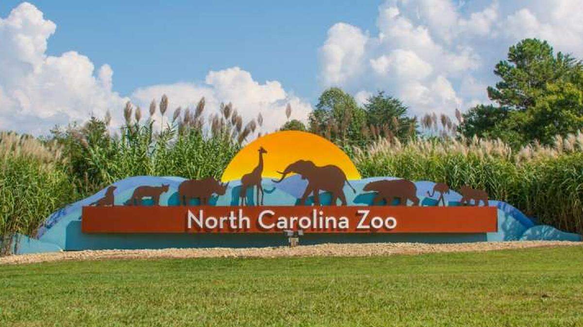 North Carolina Zoo shared a photo and video showing a newborn chimp spending time with her mother.