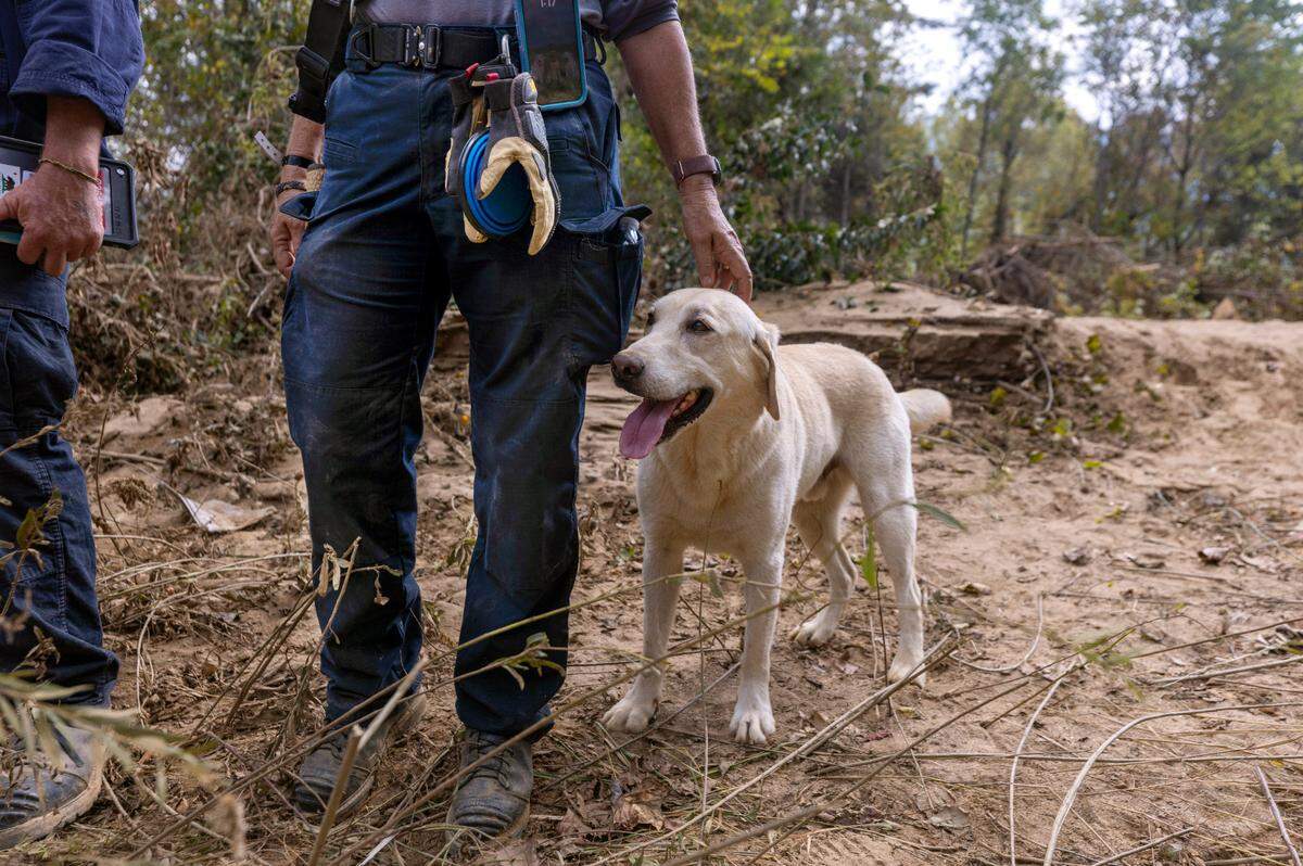 A FEMA search and rescue team from California search for flood victims using a human remains dog named “Rubble” in Swannanoa on Sunday, Oct. 6, 2024 after Tropical Storm Helene flooded the Swannanoa River. North Carolina officials have confirmed 76 deaths from Tropical Storm Helene.