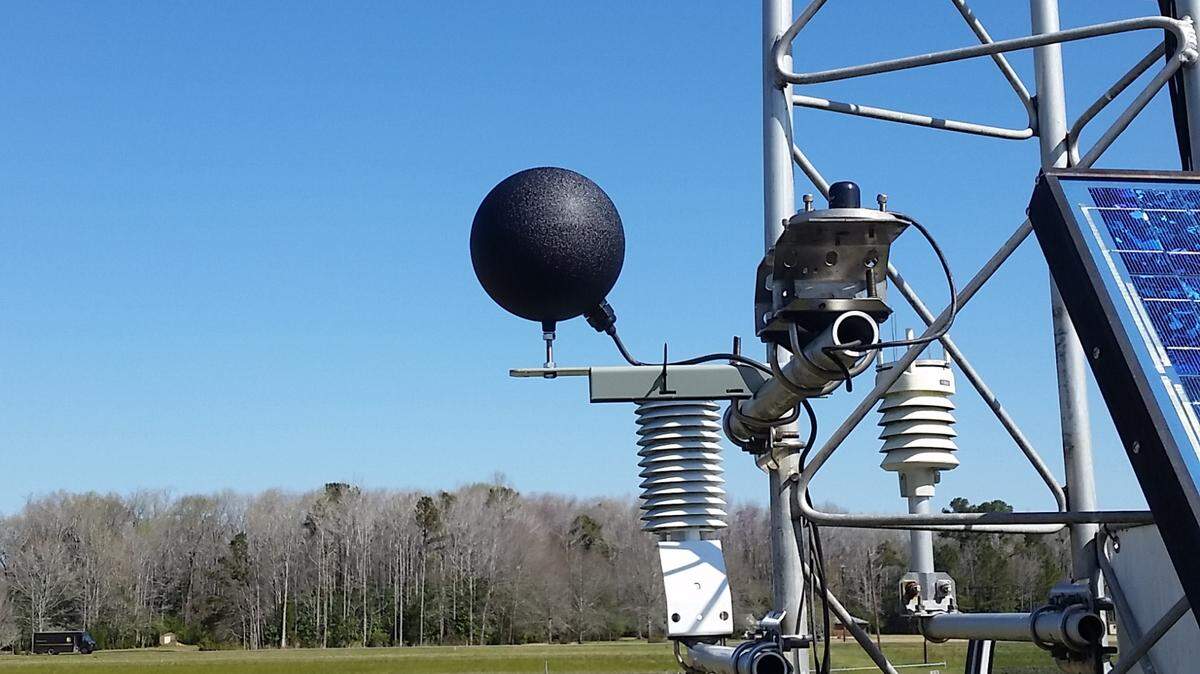 This sensor at the N.C. State Climate Office’s weather station in Castle Haynes measures wet bulb globe temperature using three thermometers, including one inside a black globe and another wrapped in a wet cloth. Wet bulb globe temperature is seen as a comprehensive measurement of how heat impacts the human body.