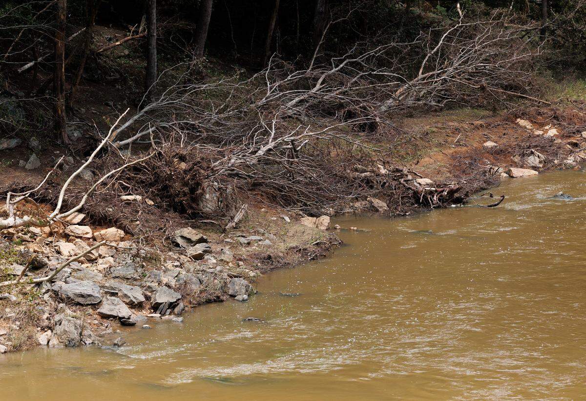 Downed trees cover a bank of the Eno River in Durham, N.C. on Tuesday, July 15, 2025, after the area sustained damage during Tropical Depression Chantal.