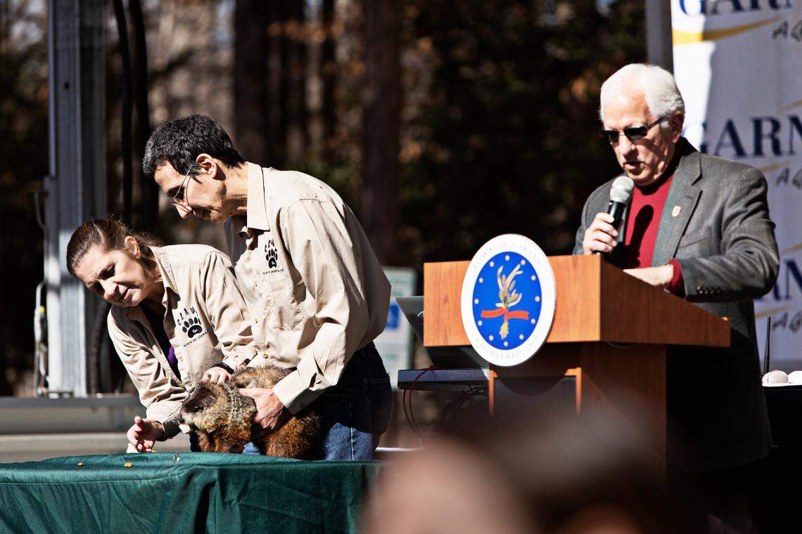 Snerd the groundhog of Garner, left, makes his prediction at White Deer Park on Wednesday, Feb. 2, 2022. “Snerd has given me the word,” said Mayor Ken Marshburn, right, “my advice to you is not to put away your winter coats just yet.”