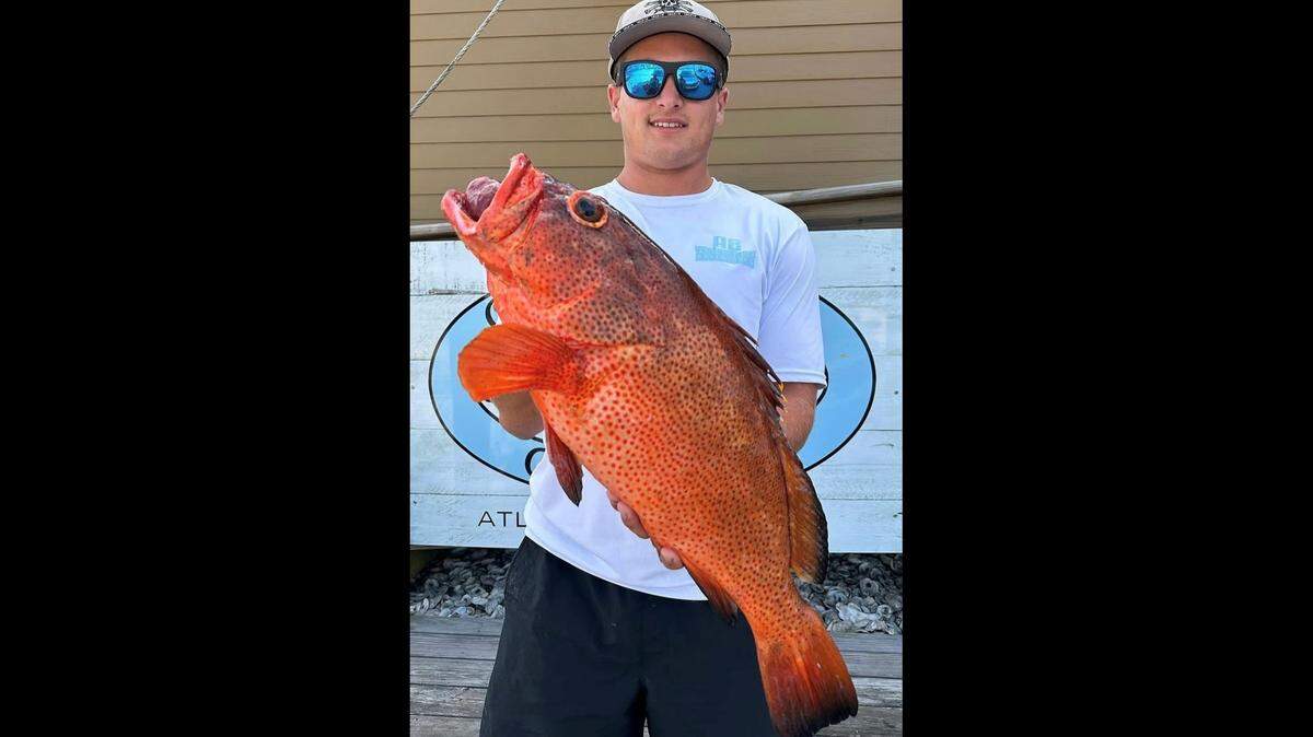 A North Carolina state record for red hind was set by Christopher Rocci of Morehead City, just months after the prior record was set.