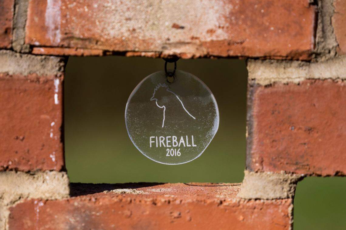 A memorial for a rooster named “Fireball” is one of of dozens of memorials to farm animals who once resided at Piedmont Farm Animal Refuge in Pittsboro.