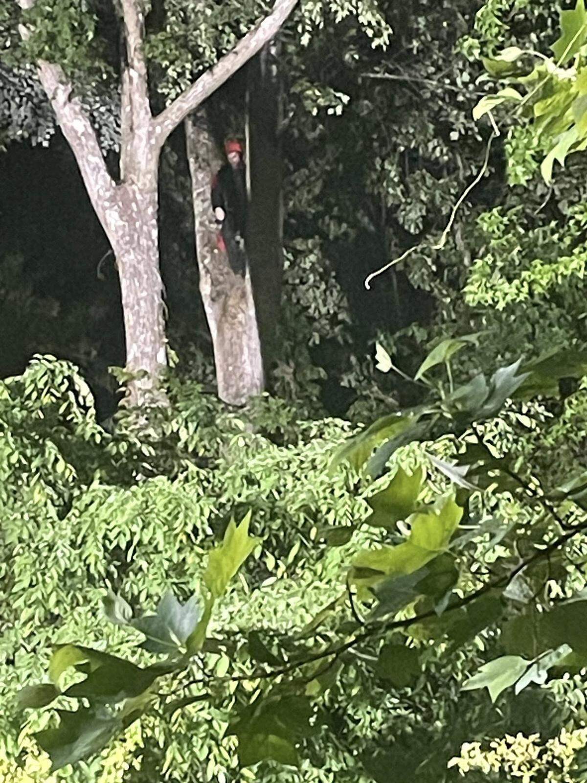 A skydiver was rescued in Franklin County Saturday night after spending three hours stuck in a tree. He escaped the ordeal uninjured.