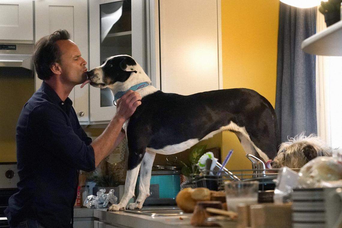 Walton Goggins plays a single parent to two daughters in the CBS sitcom “The Unicorn.”