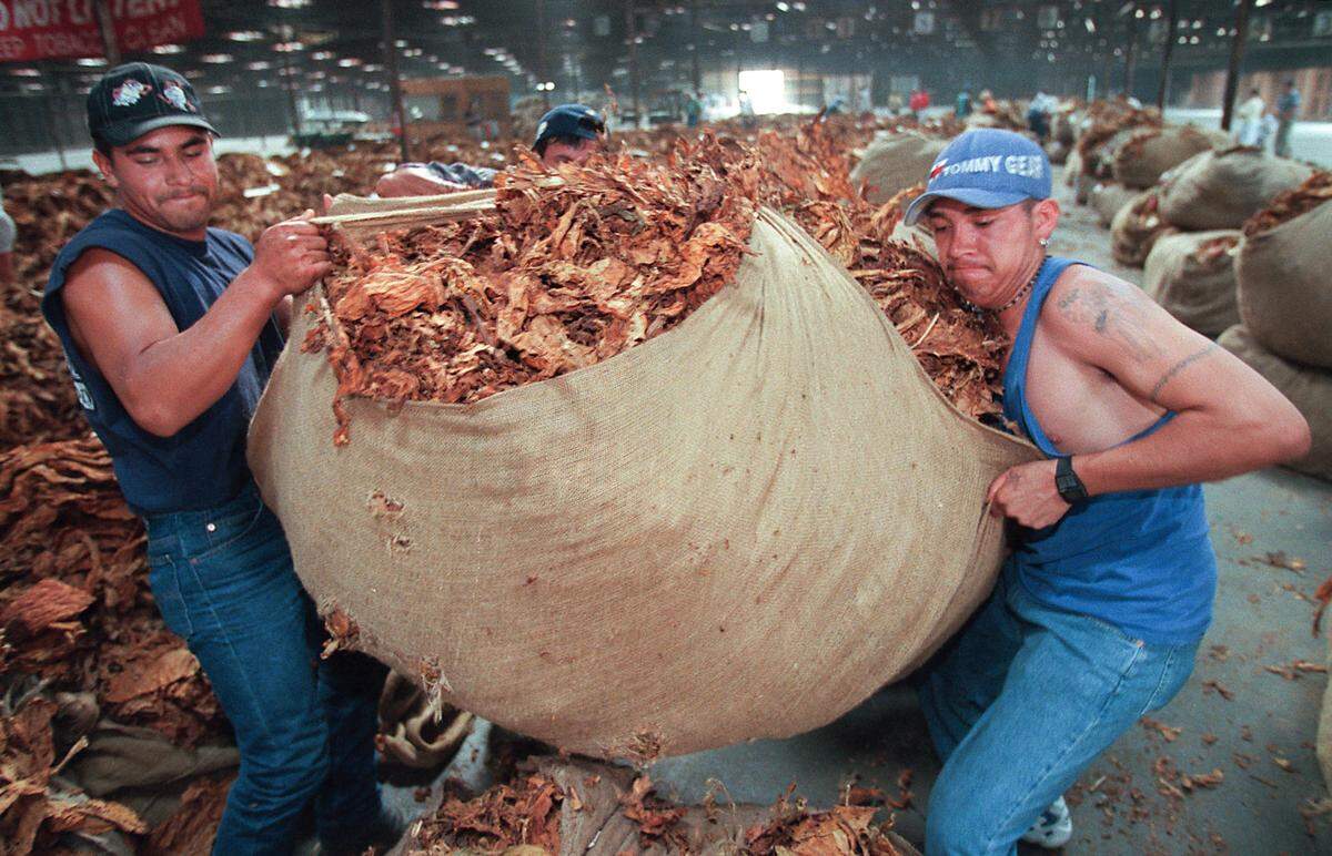 Warehouse workers Jose Llanas (left) and Esteban Hernandez move a sheet of tobacco after it was sold during opening day of the tobacco market in Smithfield in 1998.