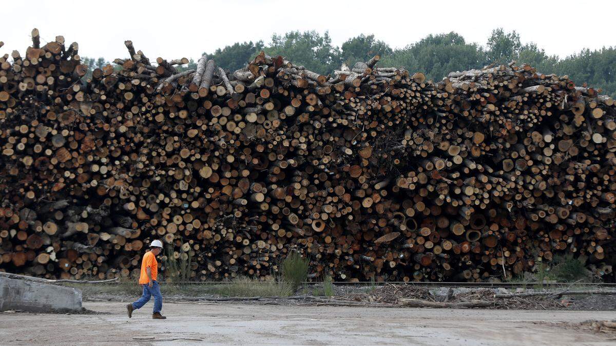 A worker walks past logs stacked at the Enviva plant in Northampton County, N.C. in 2019. Northampton is among the northeastern NC counties experiencing continual population loss, a decline in employment, negative GDP growth and higher death rates than other parts of the state.