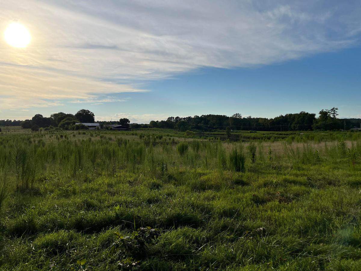 Developers recently purchased roughly 488 acres of pristine farmland west of Pittsboro.