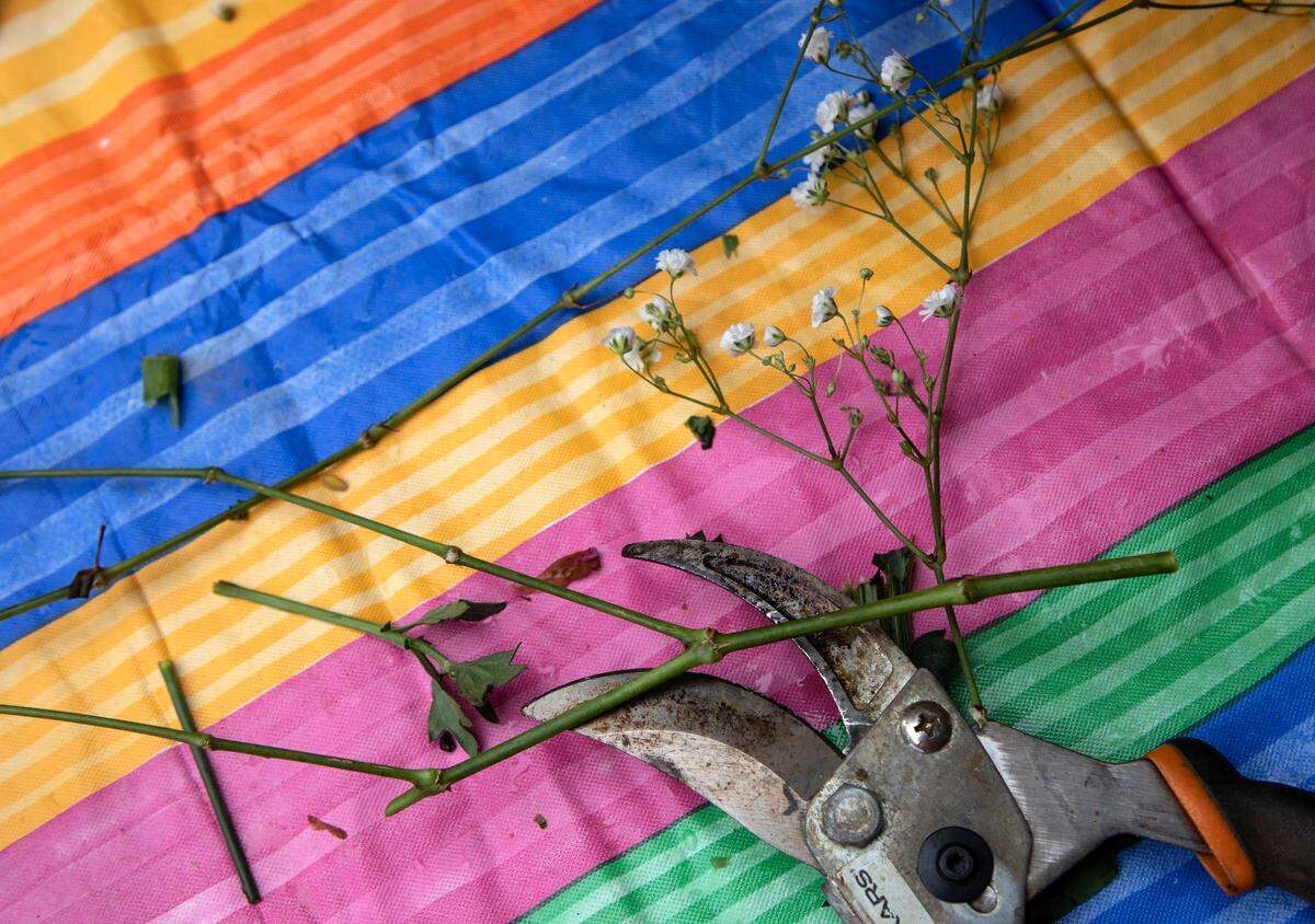 Stems of baby’s breath sit on a tablecloth as a group of women prepare Mother’s Day flower arrangements on Friday, May 6, 2022, in Cary, N.C.