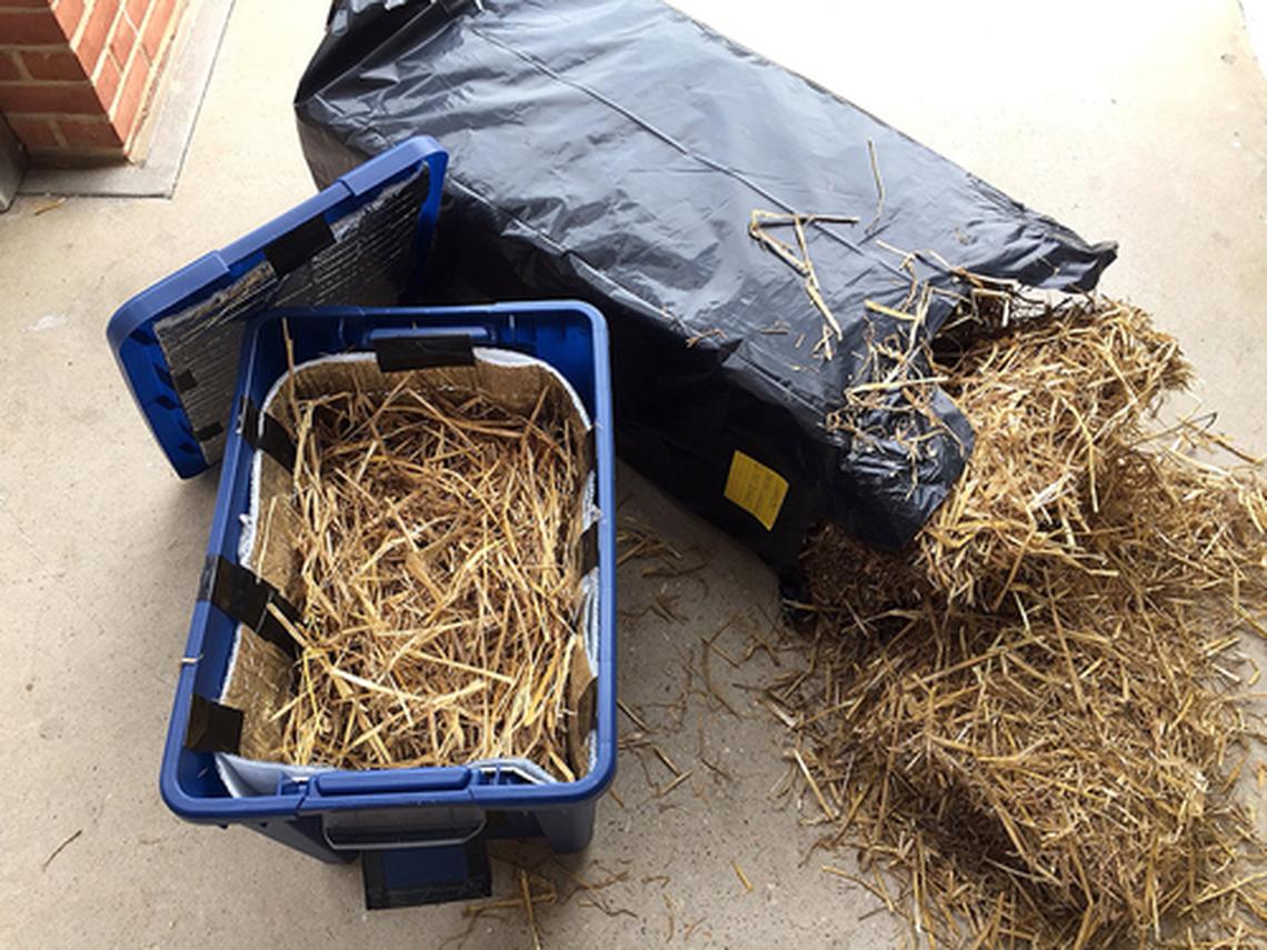 The tote is filled a quarter to halfway with fresh straw, which repels water and insulates the bottom of a shelter built to house a feral cat in winter.