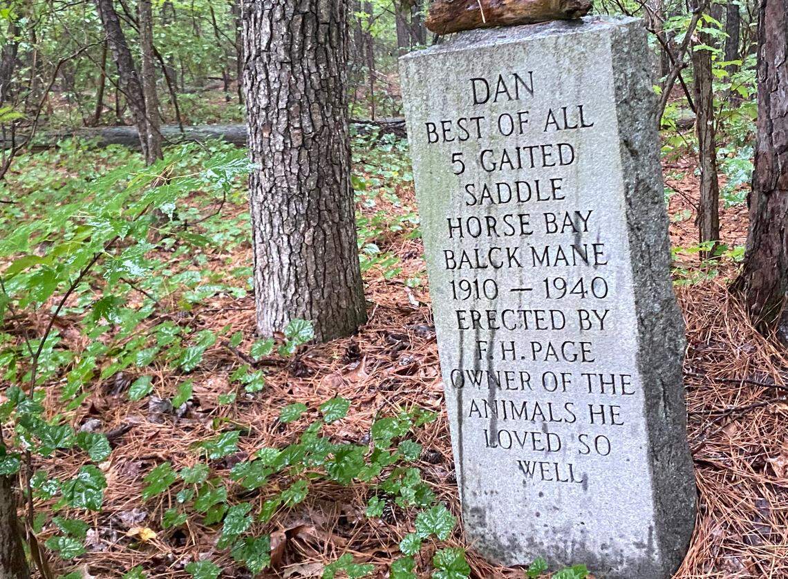 The grave for “Dan” rests inside thick woods off U.S. 540, formerly the farm owned by Fabius Page, who buried all his farm animals there with granite memorials that yet remain.