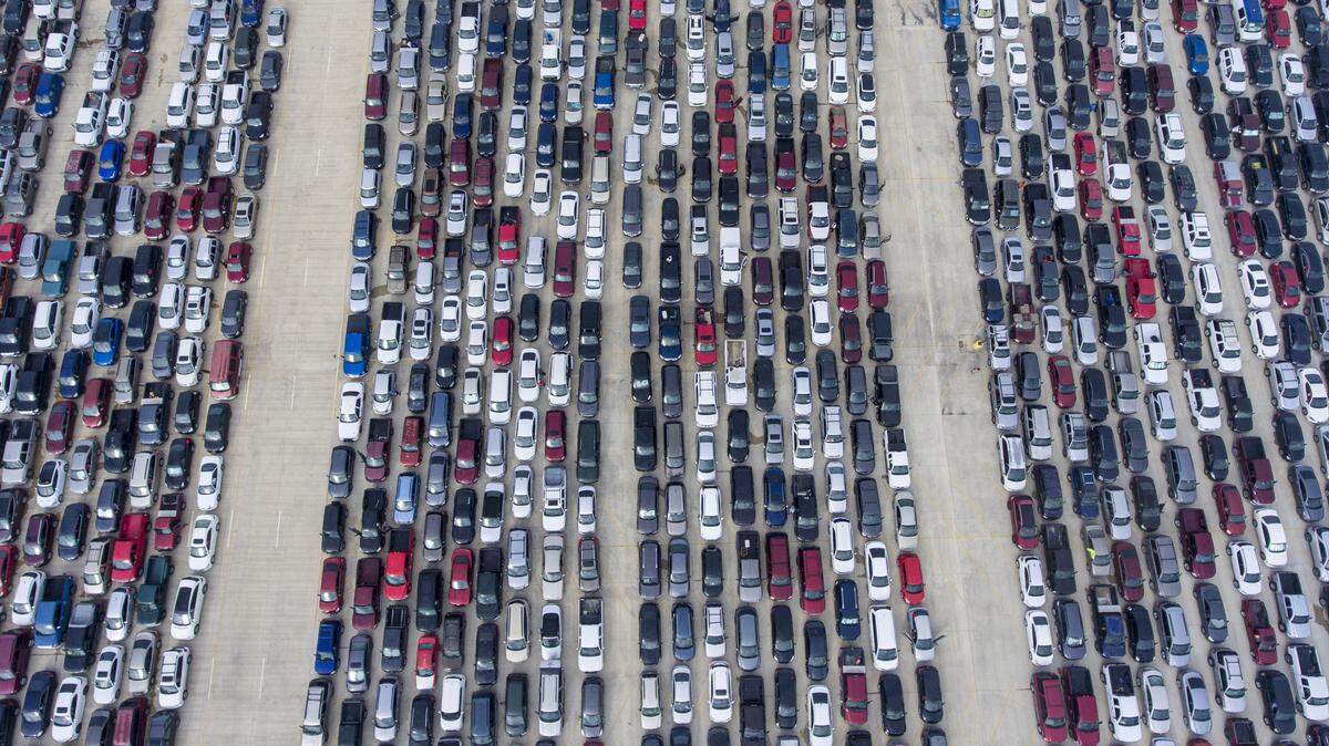 People wait in their cars Thursday, at Traders Village for the San Antonio Food Bank to begin food distribution. 10,000 people seek San Antonio Food Bank help. The need for emergency food aid has exploded in recent weeks due to the COVID-19 coronavirus epidemic.