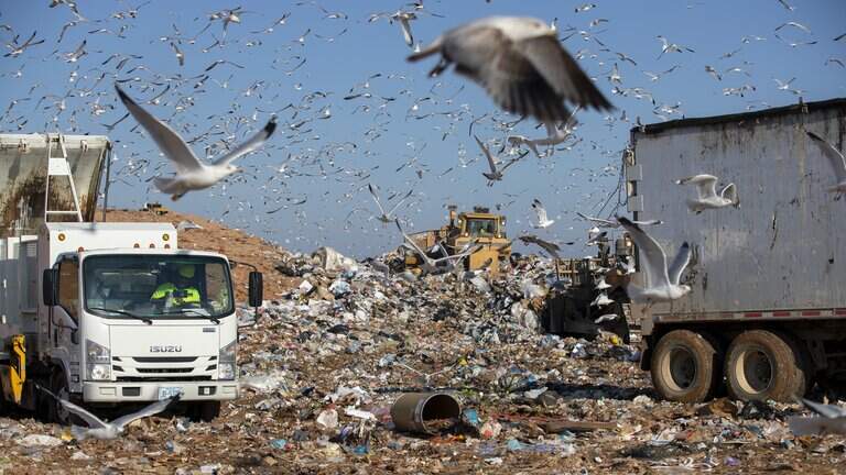 Audit warns NC’s older, unregulated landfills could take 99 years to remediate