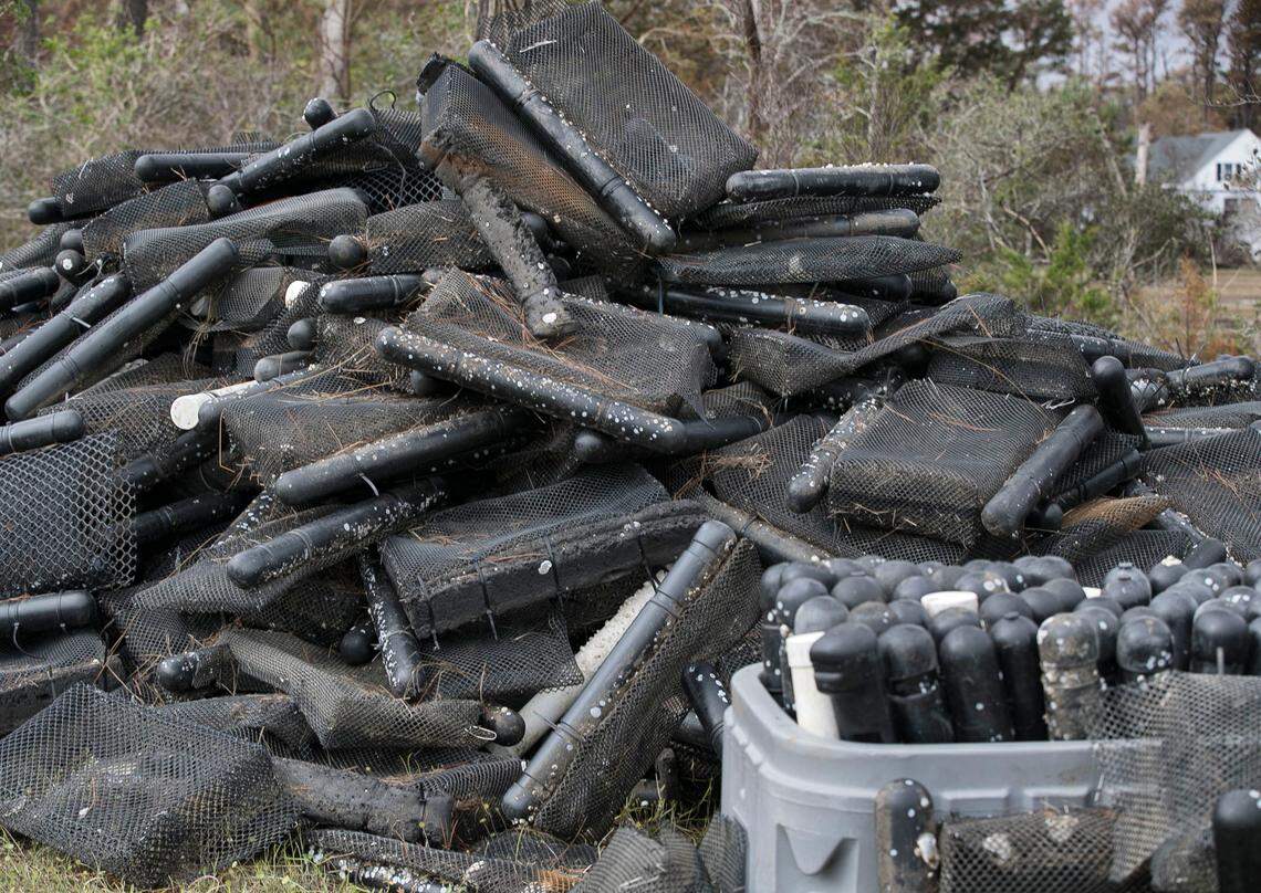 Hundreds of oyster cages used to grow oysters to maturity were displaced during Hurricane Florence. Jimmy Morris of Morris Family Shellfish Farms retrieved some of them more than 150 yards into the woods surrounding his plots near Sea Level, N.C.