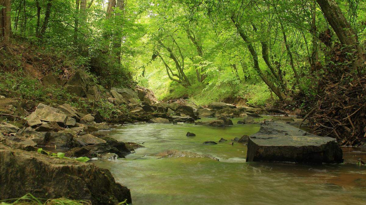 The city of Durham on Monday was cleaning up an untreated sewage spill into the Eno River. The city on Monday said it had received no reports of fish kills or other environmental problems downstream of the station.