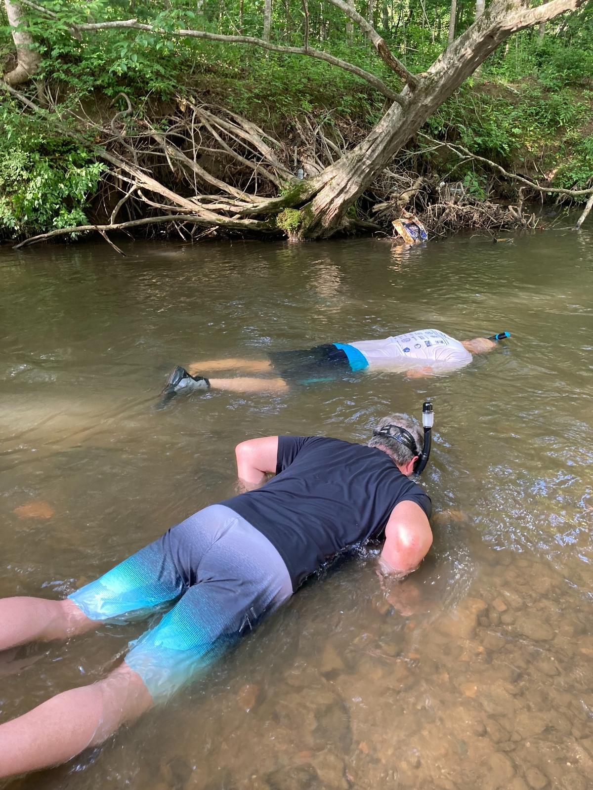Snorkelers inspect the bed of the Swannanoa River in Black Mountain, which various darters call home. It is best experienced on a day without rain.