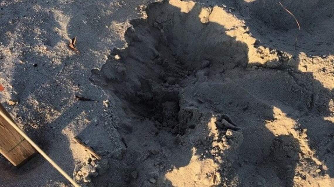 Vandal who disturbed turtle nest on NC beach may face fine | Raleigh ...