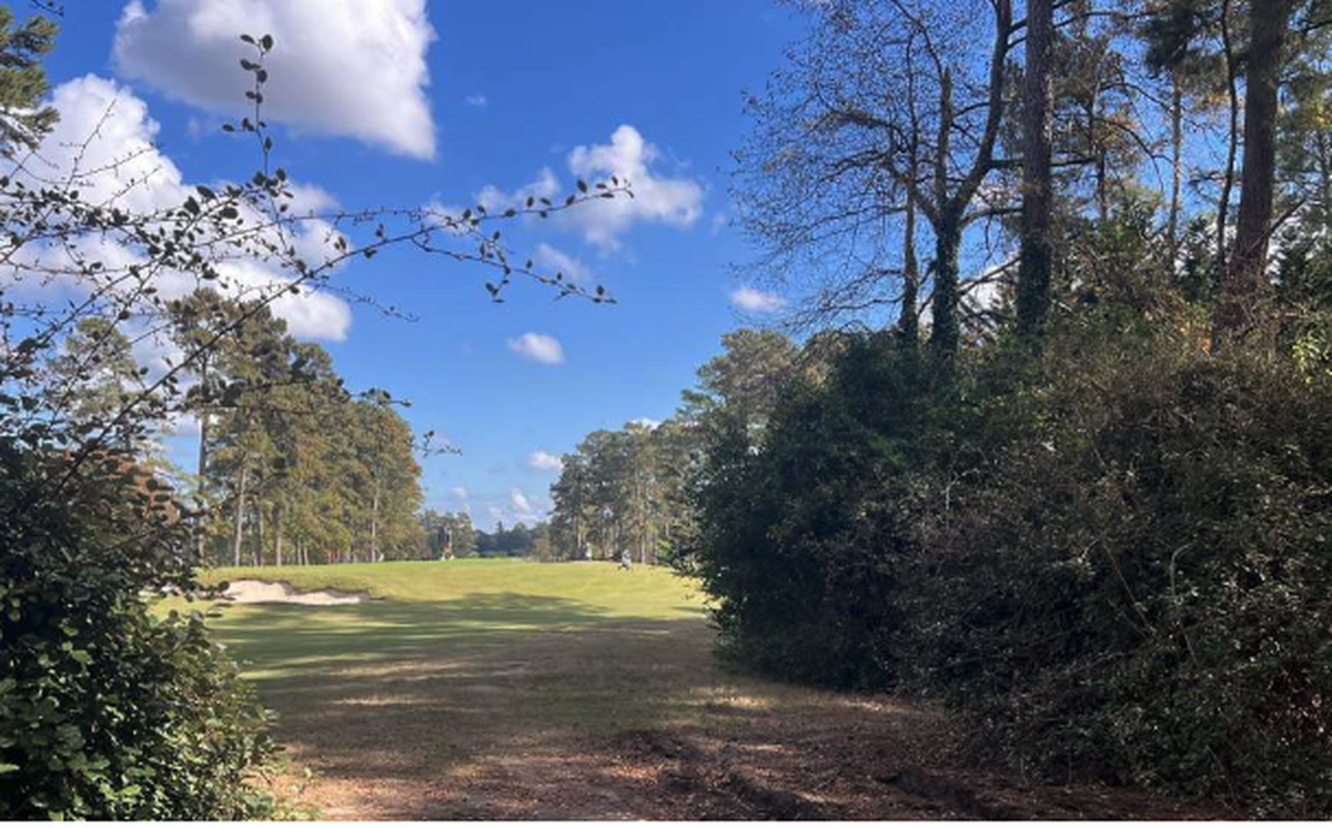 The view from 2501 Poole Rd. in Raleigh’s King Charles neighborhood where a developer wants to build a 16-unit townhome community less than 100 feet away from Raleigh Country Club’s southwest border.
