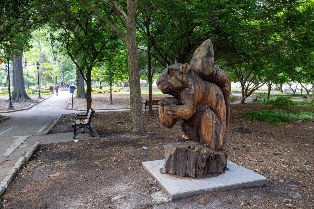 The Nash Square squirrel “Berkeley,” a sculpture by Corey Lancaster, was carved from part of a 90-foot, 120-year-old willow oak that was removed from Nash Square in 2019. The large tree was diseased, and was located across from the Berkeley Cafe on Martin Street. The sculpture, which now is decaying, will be removed from the northwest corner of Nash Square across from Raleigh City Hall. A “funeral” was held for Berkeley on Thursday.
