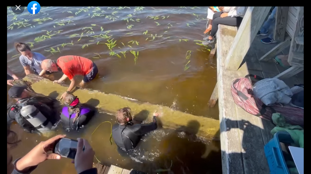 The boat is believed to be about 930 years old, state officials said.