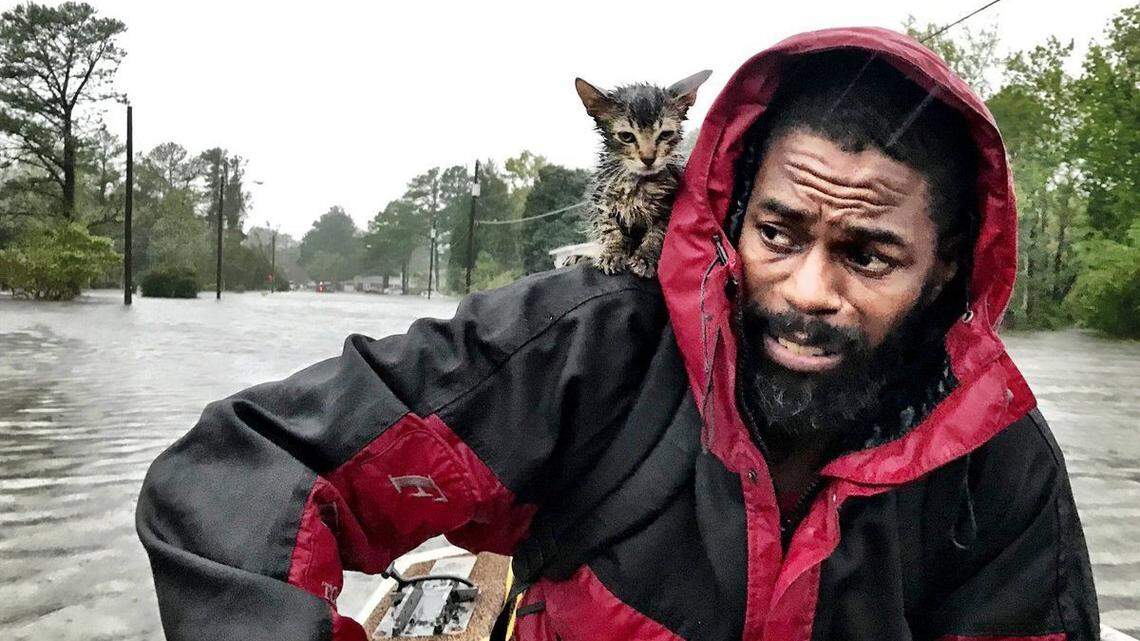 Hurricane preparedness: Plan now to keep your pets safe when a storm strikes